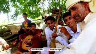 بلوچی دیوان - موسیقی محلی(fun)