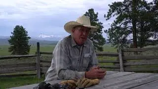 Country Natural Beef: Rural - Urban Connection