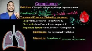 4.  Lung Compliance