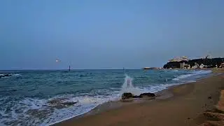 calmday sounds