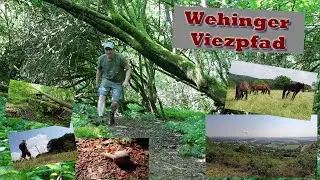 Wehinger Viezpfad - Wanderwege Saarland (+ schauriger Lost Place)
