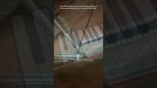 Why are there extra unplayable bass strings on this Kawai piano?! 🤔 🎹 🎶 #kawai #piano #shorts
