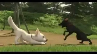 Bolt - Nenhum outro lar &eacute; melhor que o seu