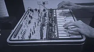 Eva|3 - Gone (Buchla Music Easel Performance)