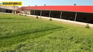 Barenbrug Trawy