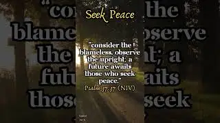 Seek Peace | Psalm 37:37