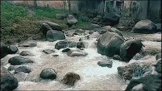1 Hour River Sounds ASMR for Deep Sleep | Relaxing Nature Water Ambience