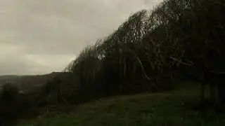 Back roads of Cornwall
