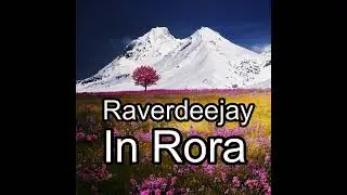 Raverdeejay - In Rora - Rastatt - Strzegom - Karlsruhe - Wiesbaden - Gernsbach - Frankfurt  - Miami