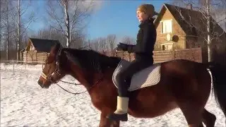 Учебная посадка на рыси без седла, урок 2.