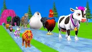 #longslidegame #funny3danimals #cartoon #video #elephant long Slide Game videos game cow Gorillael