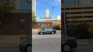 How does Canada 🇨🇦 look like #canada #immigration #alberta #shorts