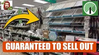 🚨HURRY TO DOLLAR TREE THESE NEW ARRIALS ARE GUARANTEED TO SELL OUT‼️ #dollartree #shopping #new ￼
