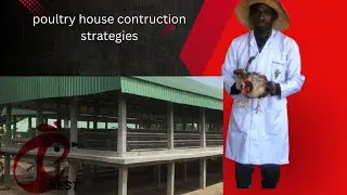 poultry house construction tips #viral #farmup #poultryfarming #layer