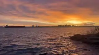 Facts: people are most optimistic in the morning 🌞🌝🌞 #shorts #youtubeshorts #morning #river