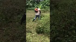 Grass Brush Cutter in Action | Perfect Lawn Trim 🌿