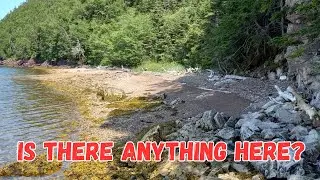 Was This Beach Worth Metal Detecting? - A Great Day for Beach Detecting