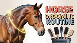 ULTIMATE HORSE GROOMING ROUTINE 🐎 Step by Step to a Shiny & Healthy Coat ✨