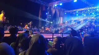 Kewan alas garangan sequat original #garangansquad