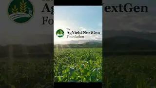 Представляем фонд AgYield NextGen Foundation, поддерживающий сельскохозяйственное образование и б...