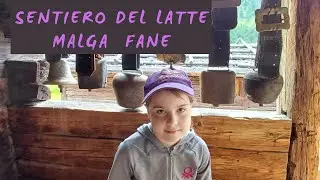 SENTIERO DEL LATTE E MALGA FANE - VALLES 2023