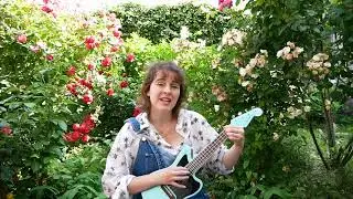 Soft and tender - November Ultra (cover/reprise)