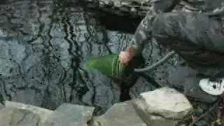 Pond Filtration set up spring
