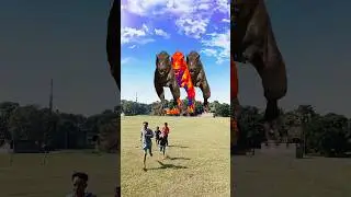 Big Dinosaur chase T-Rex chasing part- 1024 #shorts #dinosaur #youtube #dinosaurs #youtubeshorts