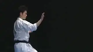 Shinkyokushin Kata - Sushiho 新極真会型五十四歩
