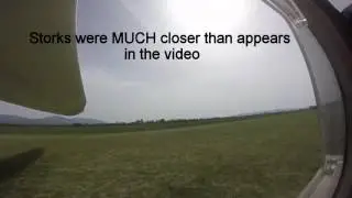 storkonrunway