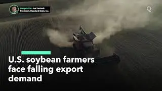 USDA Forecasts Falling Soybean Yields and Demand