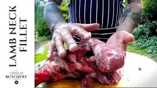 Quickly remove Lamb neck fillet