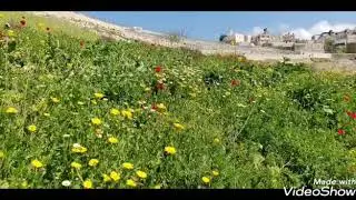 새벽기도를 위한 오카리나 팬플룻 찬양 경음악(Ocarina pan flute praise songs for dawn prayer)