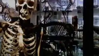 Part 1 of 5 - The Day We Learned to Think - BBC Horizon