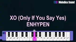 XO (Only If You Say Yes) - ENHYPEN Melodica Tutorial.