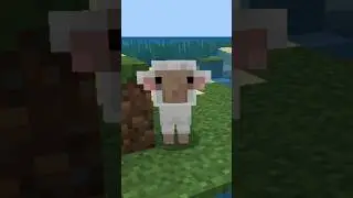 PA cuando la END UPDATE 🤔 #opiniones #critica #minecraftbedrockediton #shorts