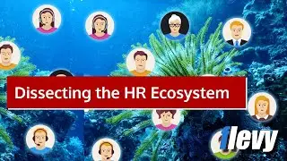 What Are the 10 Fundamental Elements of the Human Resources (HR) Ecosystem?