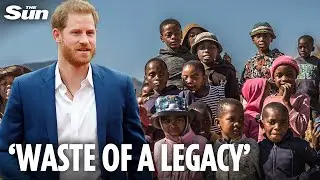 Typical Harry 'BLAMES others then flounces off' - leaving Sentebale charity 'wasted Diana's legacy'