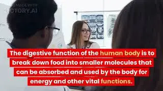 HUMAN HEAD FUNCTION