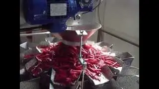 Pesatrice multiteste per confezionamento di barbabietole a bastoncini