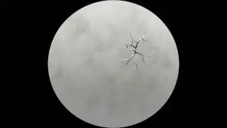 human-uninterpretable geography based on poplar trees