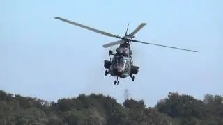 Lowpass RNLAF Eurocopter AS532 Cougar at Arnhemse Heide