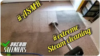 EXTREME Steam Cleaning, Heavy Soil