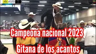 LA GITANA Y LA MIXTURA EN LA NACIONAL 2023