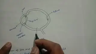 Human Eye || Science Class 10th