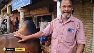 বিশাল গরুর হাট রসুলগঞ্জ বাজার। জগন্নাথপুর।cow market rosulganj bazar Jagannathpur Sunamganj.