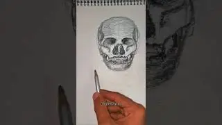 Human skull drawing   #anatomy #human #skull #sketch #viralvideo #Prajwalarts158 #Prajwalarts #art