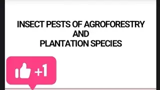 Insect Pests of Agroforestry & Major Plantation Crop Pests Explained | ICFRE IMPORTANT TOPIC 