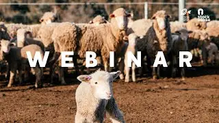 Managing the winter feed gap for smaller landholders | Part 2 Sheep & Goats