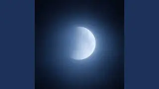 Still Veil